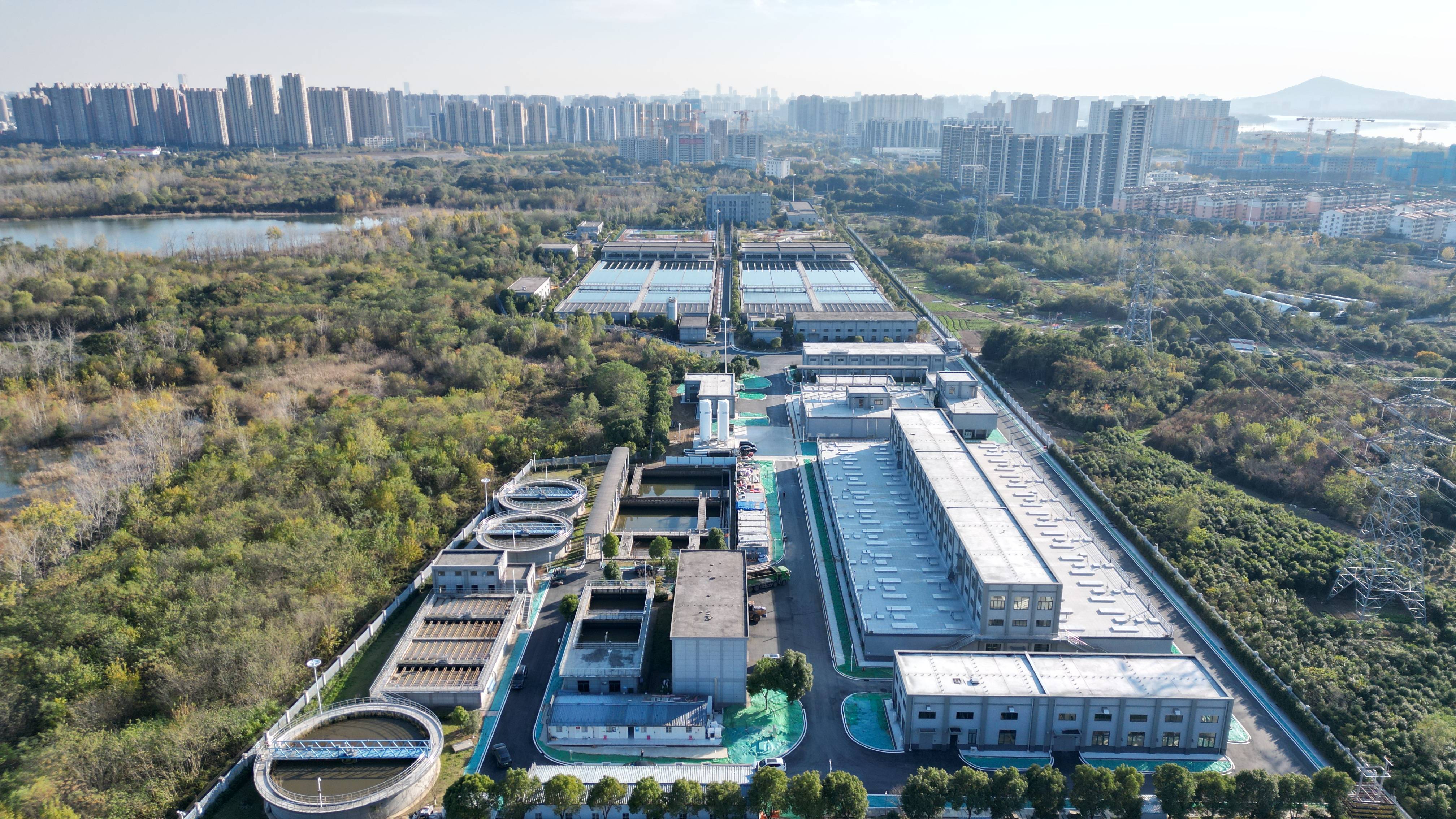 百色市合肥专业企业价值增长(合肥市重点企业产业目录)