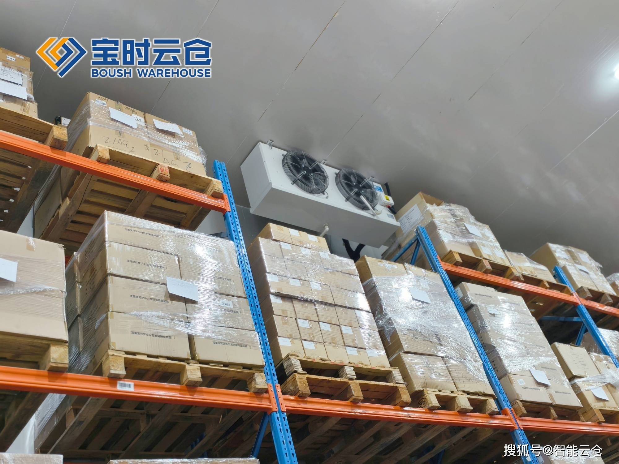 百色市领先物流品牌升级(领先物流服务商是自营物流)