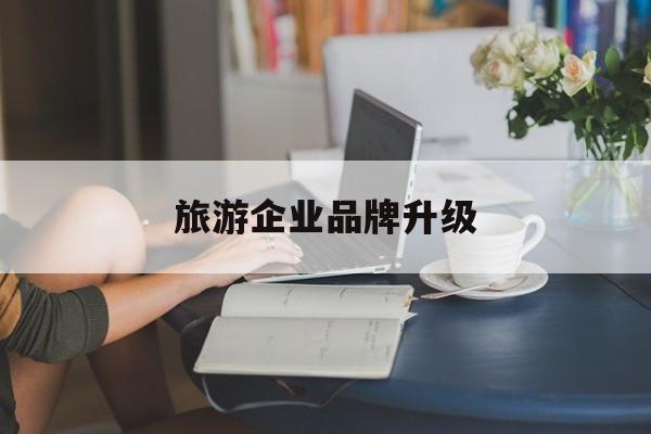 百色市旅游企业品牌升级(旅游企业品牌升级措施)