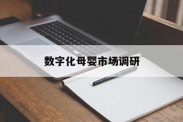 百色市数字化母婴市场调研(数字化母婴市场调研报告)